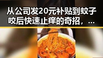 从公司发20元补贴到蚊子咬后快速止痒的奇招,每日吃瓜的内幕大揭露