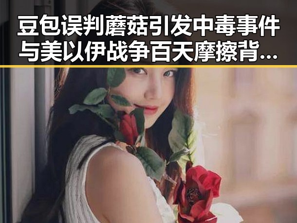 豆包误判蘑菇引发中毒事件与美以伊战争百天摩擦背后复杂因素